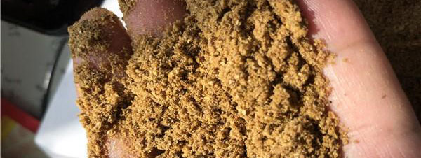 發(fā)酵過程泡沫的形成及控制？